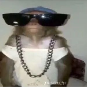 Meet your Posher, Serenity